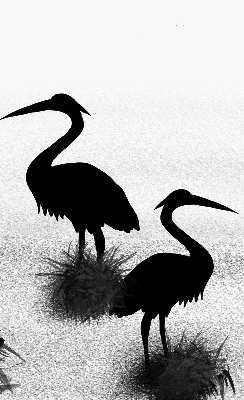 Rolgordijn voor het raam Reigers