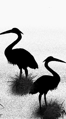 Rolgordijn voor het raam Reigers