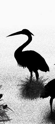 Rolgordijn voor het raam Reigers