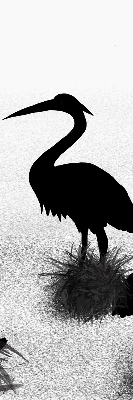 Rolgordijn voor het raam Reigers