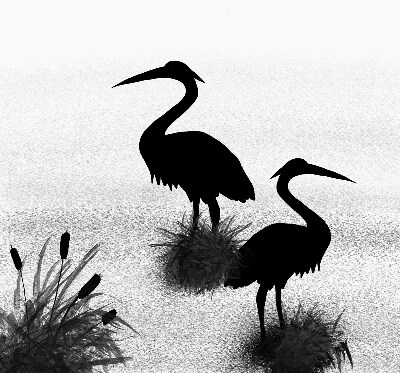 Rolgordijn voor het raam Reigers