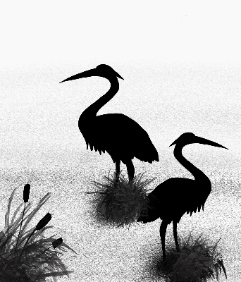 Rolgordijn voor het raam Reigers