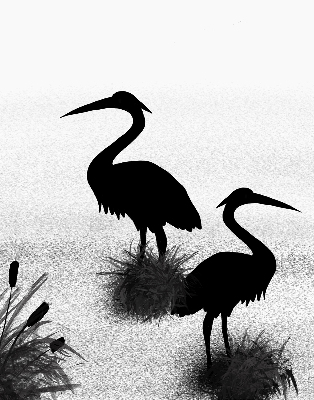 Rolgordijn voor het raam Reigers