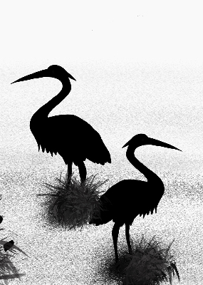 Rolgordijn voor het raam Reigers