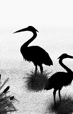 Rolgordijn voor het raam Reigers