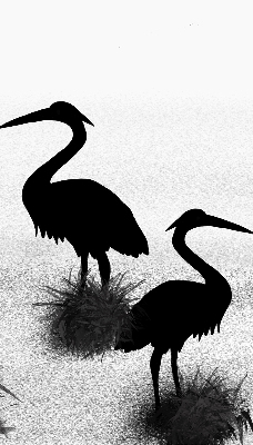 Rolgordijn voor het raam Reigers