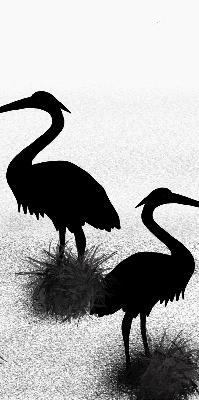 Rolgordijn voor het raam Reigers