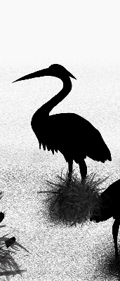 Rolgordijn voor het raam Reigers