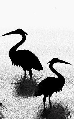 Rolgordijn voor het raam Reigers