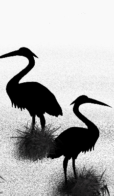 Rolgordijn voor het raam Reigers