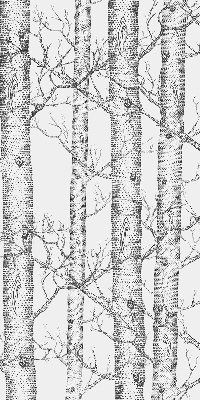 Rolgordijn verduisterend Boomstammen