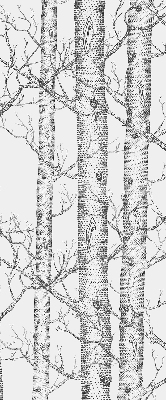 Rolgordijn verduisterend Boomstammen