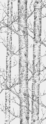 Rolgordijn verduisterend Boomstammen