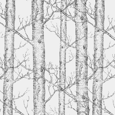 Rolgordijn verduisterend Boomstammen