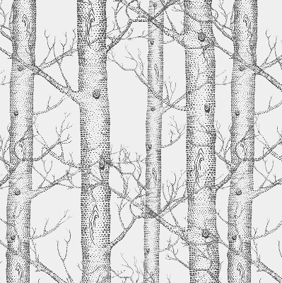 Rolgordijn verduisterend Boomstammen