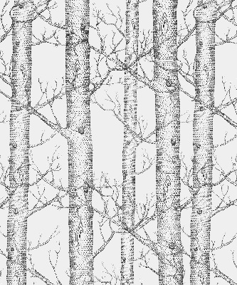 Rolgordijn verduisterend Boomstammen