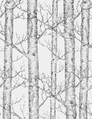 Rolgordijn verduisterend Boomstammen