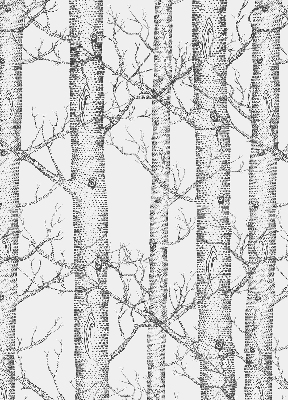 Rolgordijn verduisterend Boomstammen