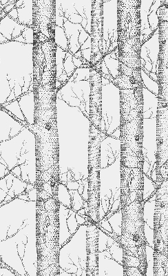 Rolgordijn verduisterend Boomstammen