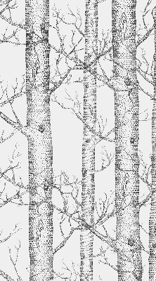 Rolgordijn verduisterend Boomstammen