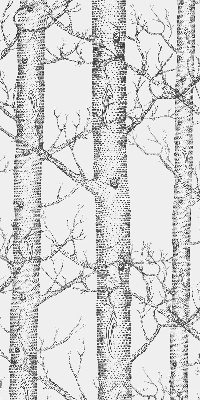 Rolgordijn verduisterend Boomstammen