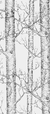 Rolgordijn verduisterend Boomstammen