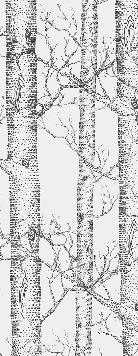 Rolgordijn verduisterend Boomstammen