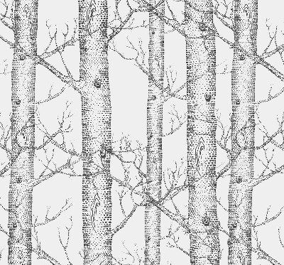 Rolgordijn verduisterend Boomstammen