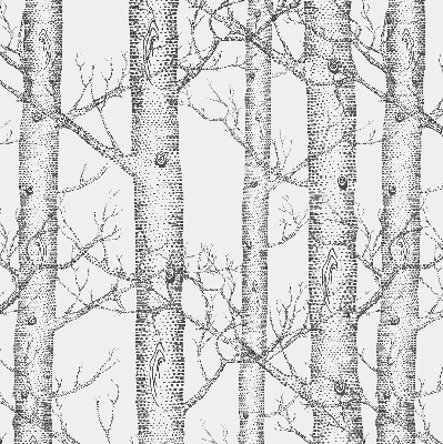 Rolgordijn verduisterend Boomstammen