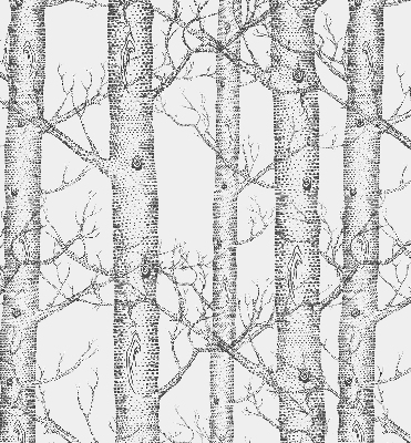 Rolgordijn verduisterend Boomstammen