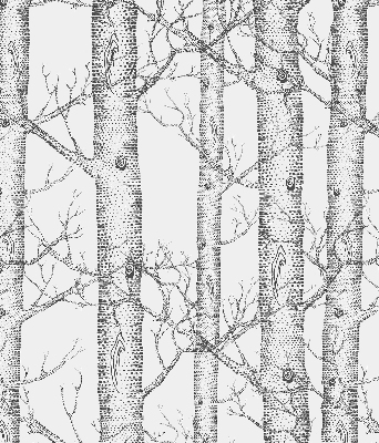 Rolgordijn verduisterend Boomstammen