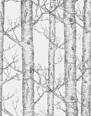 Rolgordijn verduisterend Boomstammen