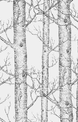 Rolgordijn verduisterend Boomstammen