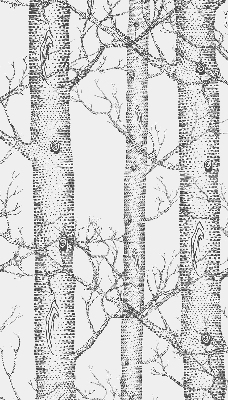 Rolgordijn verduisterend Boomstammen