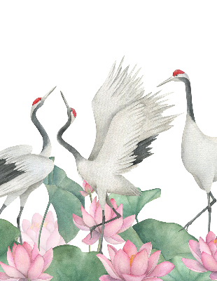 Rolgordijn voor het raam Kranen in de lelies