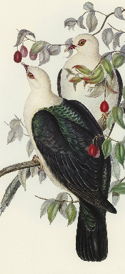 Rolgordijn verduisterend Vogels op een tak