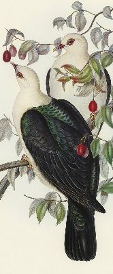 Rolgordijn verduisterend Vogels op een tak