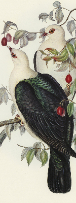 Rolgordijn verduisterend Vogels op een tak