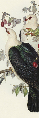 Rolgordijn verduisterend Vogels op een tak