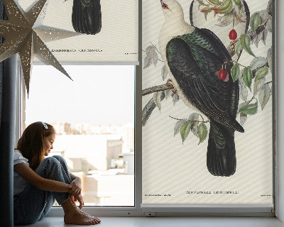 Rolgordijn verduisterend Vogels op een tak