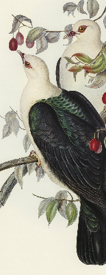 Rolgordijn verduisterend Vogels op een tak