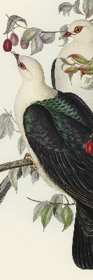 Rolgordijn verduisterend Vogels op een tak