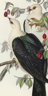 Rolgordijn verduisterend Vogels op een tak