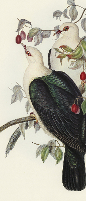 Rolgordijn verduisterend Vogels op een tak