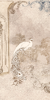 Rolgordijn verduisterend Vintage vogels