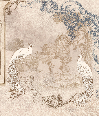 Rolgordijn verduisterend Vintage vogels