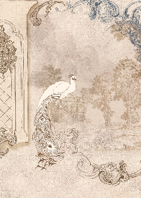 Rolgordijn verduisterend Vintage vogels