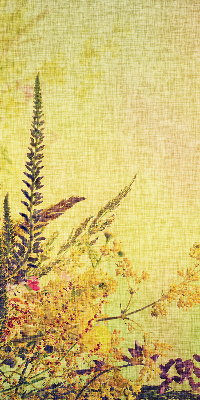 Rolgordijn voor het raam Planten