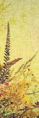 Rolgordijn voor het raam Planten