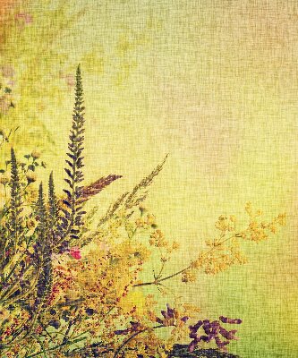 Rolgordijn voor het raam Planten